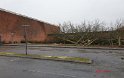 Hallen_20210127_01