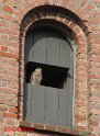HarlevKirke_20200421_05
