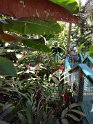 DVI_575_StThomas