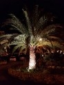 P_064_Algarve