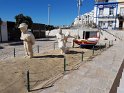 P_120_Albufeira