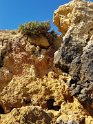 P_168_Algarve