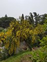 P_217_Algarve