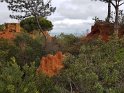 P_228_Algarve