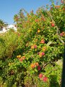 20180920_102215