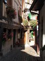 A_156_Eguisheim