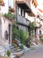 A_160_Eguisheim