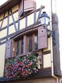 A_163_Eguisheim