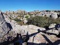 A301_ElTorcal