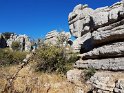 A308_ElTorcal