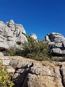 A311_ElTorcal