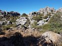 A313_ElTorcal