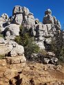 A315_ElTorcal