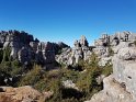 A316_ElTorcal