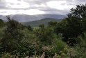 20170606_082641a
