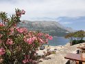 283_Korcula