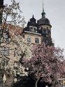 Dresden_071