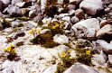 Gerlos_71