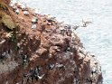 20_Helgoland