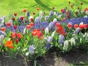 NL_053_Keukenhof