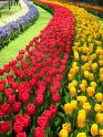 NL_064_Keukenhof