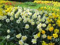 NL_068_Keukenhof