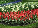 NL_074_Keukenhof