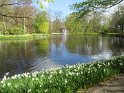 NL_086_Keukenhof