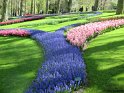 NL_087_Keukenhof