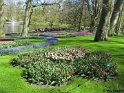 NL_088_Keukenhof