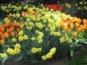 NL_090_Keukenhof