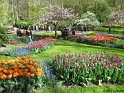 NL_091_Keukenhof