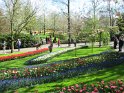 NL_092_Keukenhof