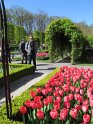 NL_103_Keukenhof