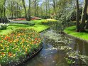 NL_128_Keukenhof