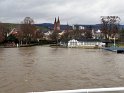 Rhinen_141