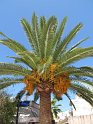 K_098_Chania