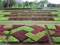 Madeira046