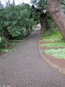 Madeira052
