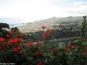 Madeira053