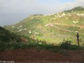Madeira065