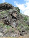 Madeira074