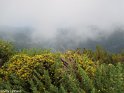 Madeira077
