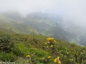 Madeira078
