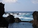 Madeira091