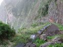 Madeira100