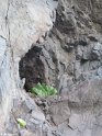 Madeira101