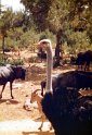 Mallorca_17