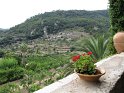 M298_Valldemossa