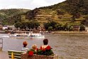 Mosel_29